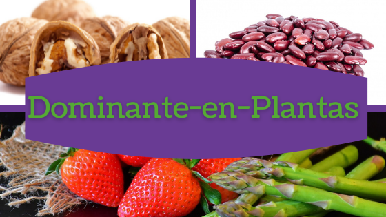 alimentacion dominante en plantas